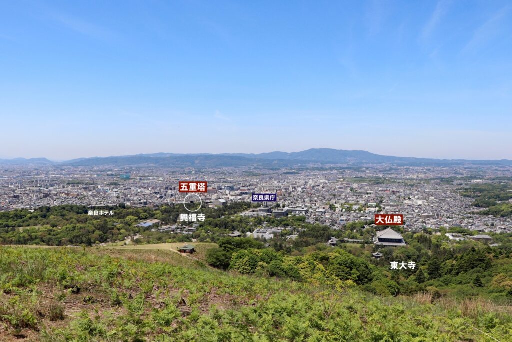 興福寺「若草山からの興福寺遠望」