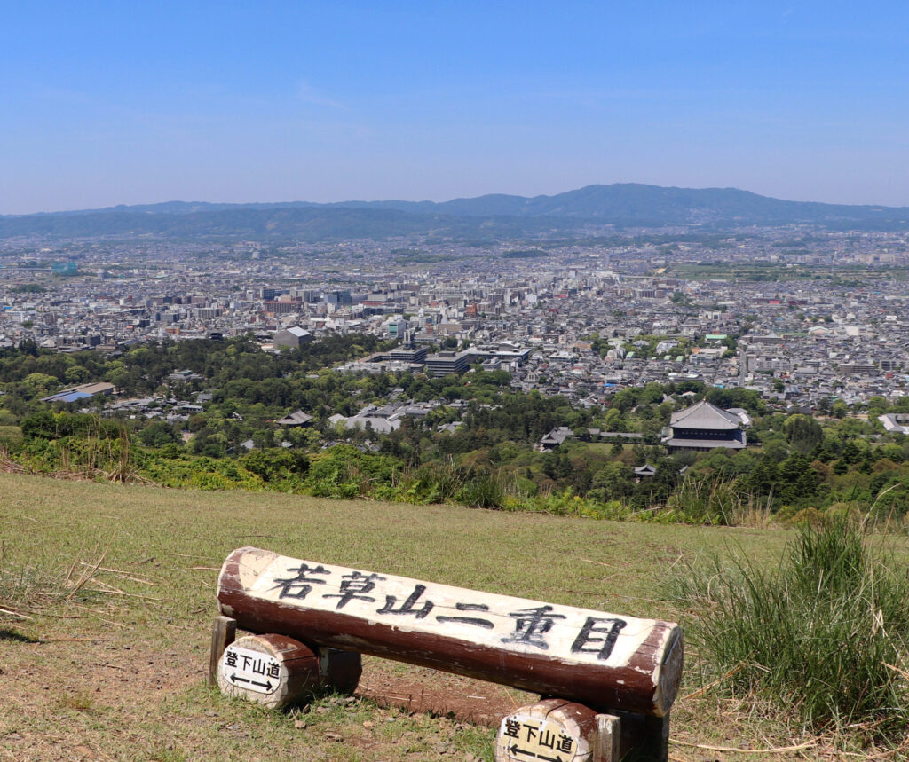 興福寺「若草山からの興福寺遠望」