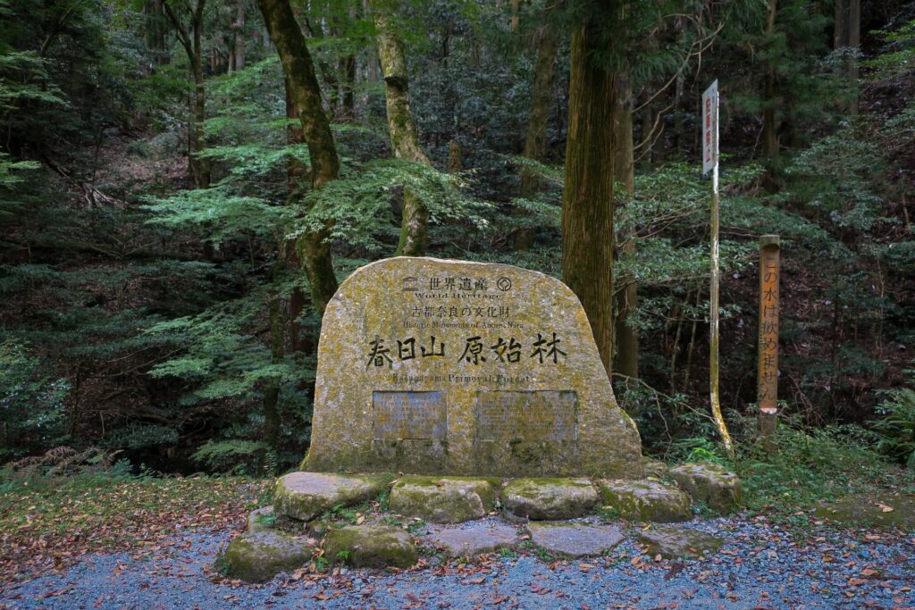 春日山原始林「滝坂の道」