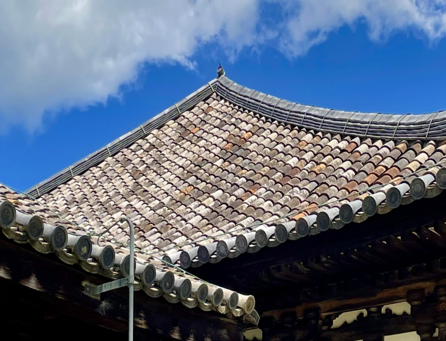 【新・南都八景】元興寺「日本最古の屋根瓦」