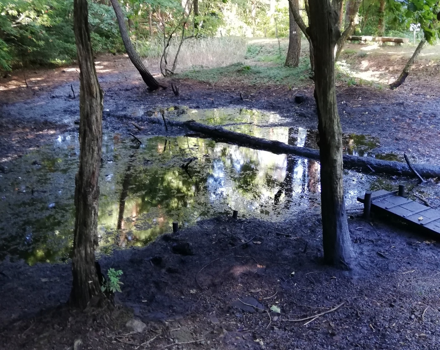黒川石油公園