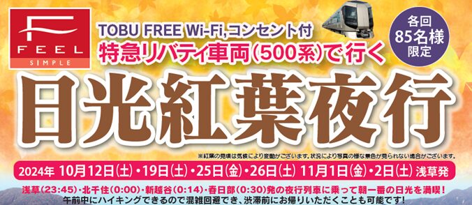 日光紅葉夜行23:45