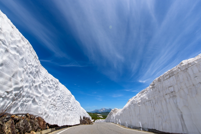 乗鞍岳春山バス、「雪の回廊」