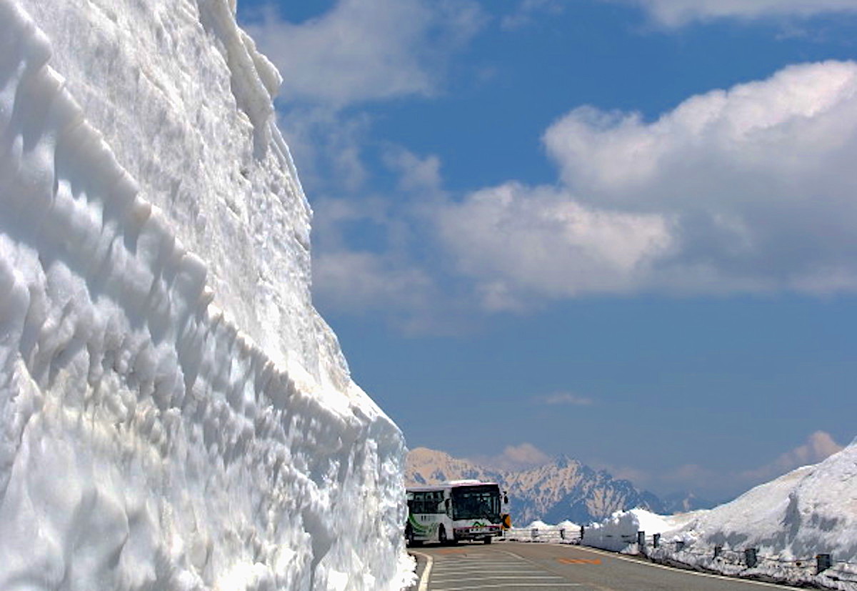 乗鞍スカイライン開通/雪の回廊