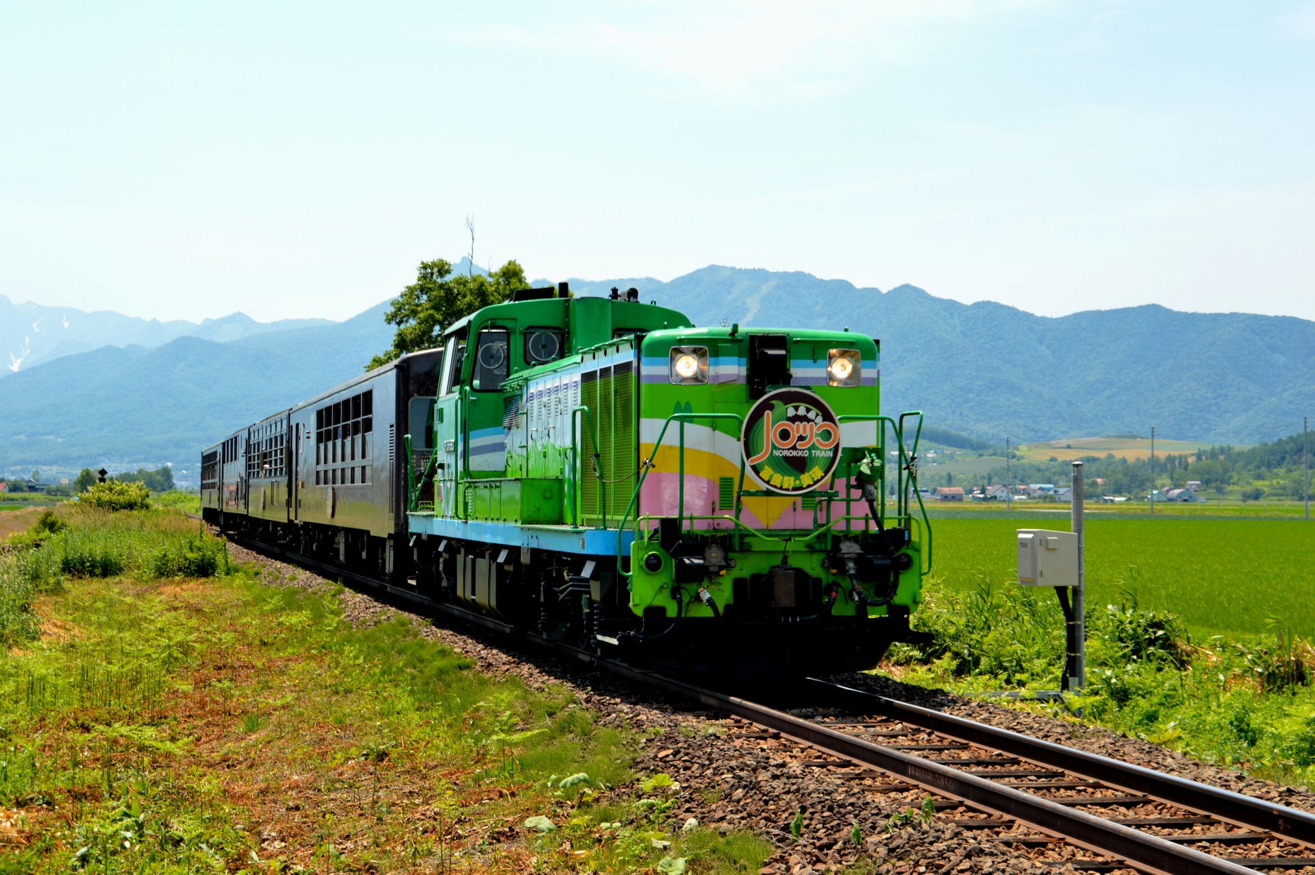 富良野・美瑛ノロッコ号