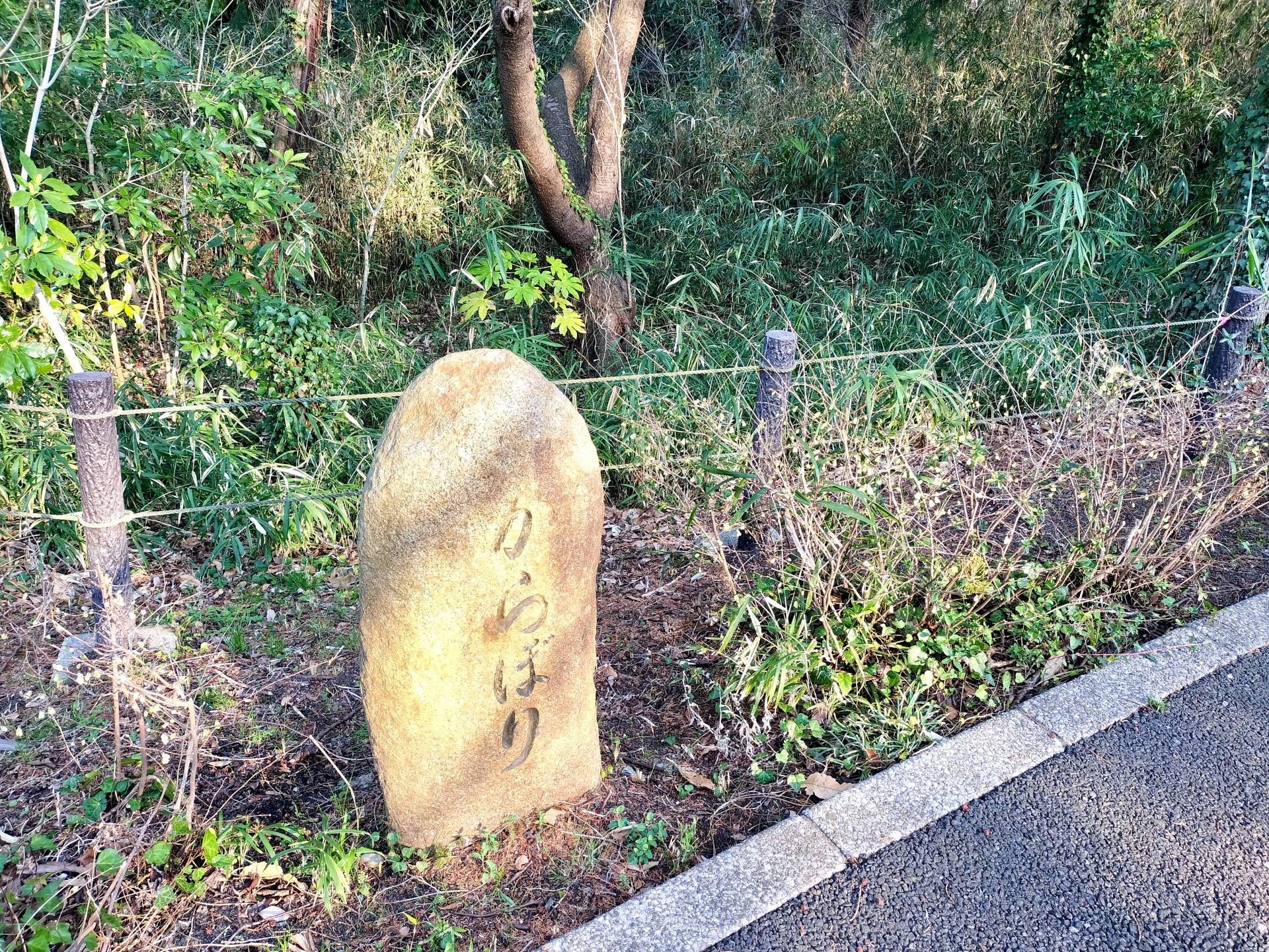 大庭城