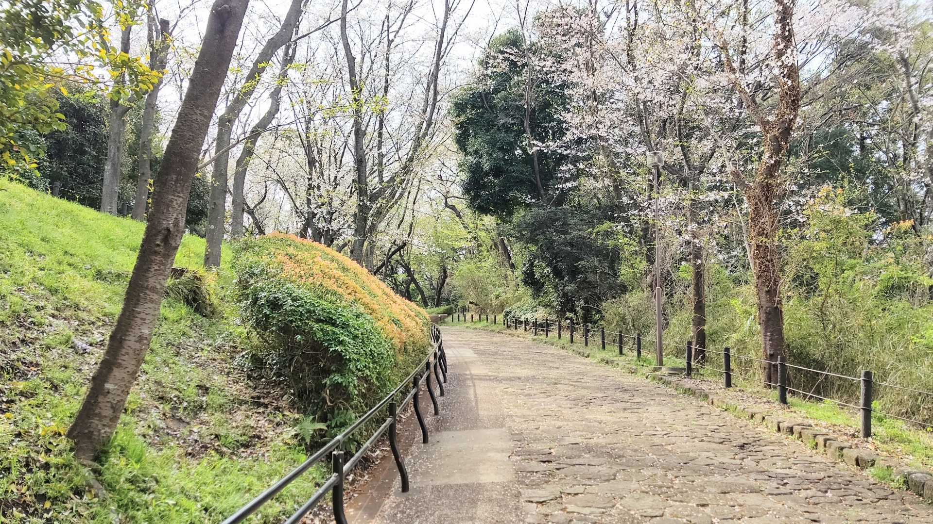 大庭城