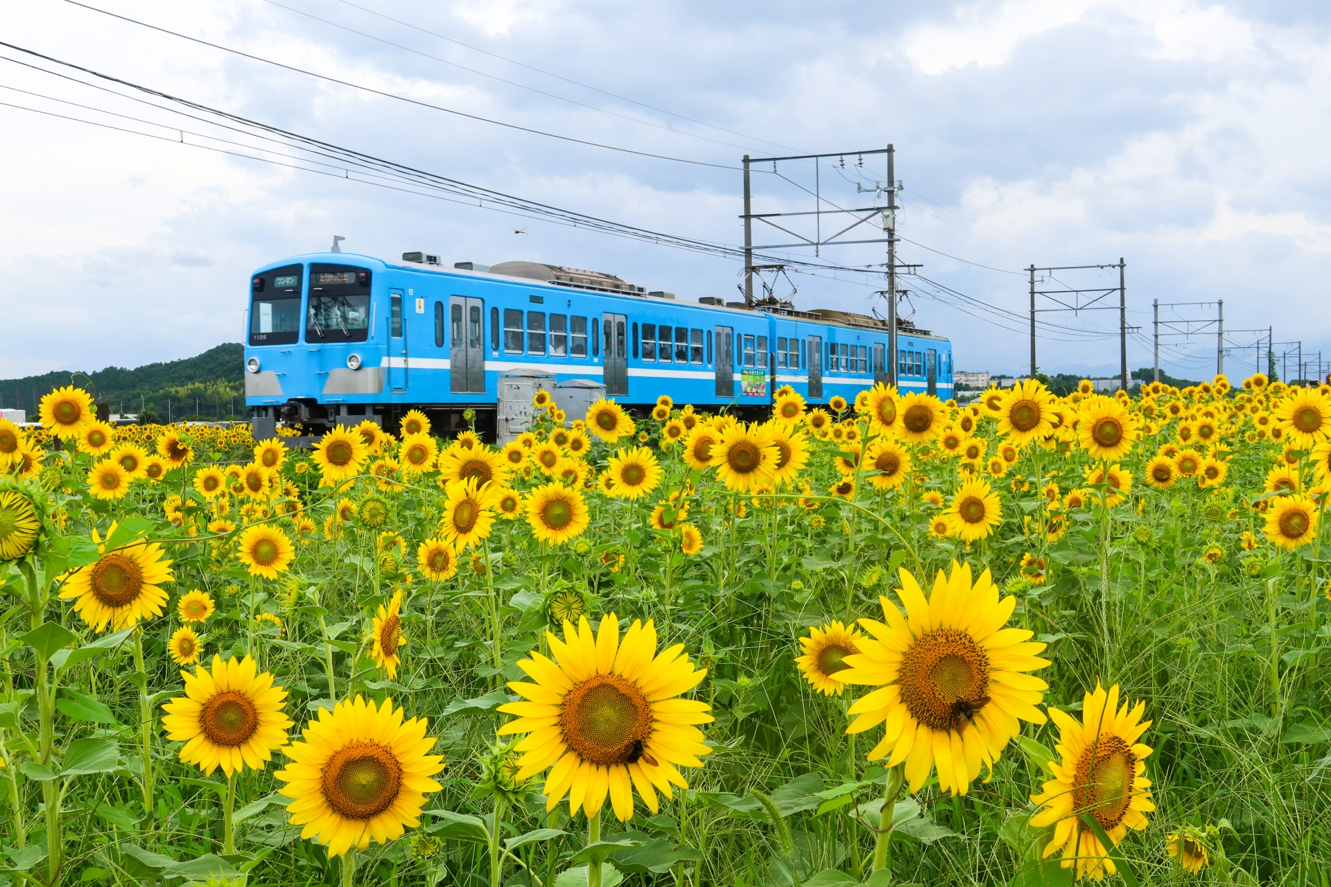 近江鉄道