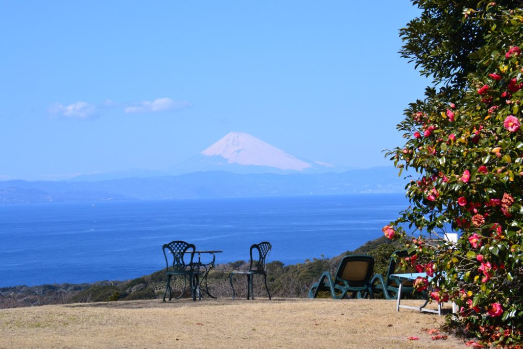 伊豆大島椿まつり