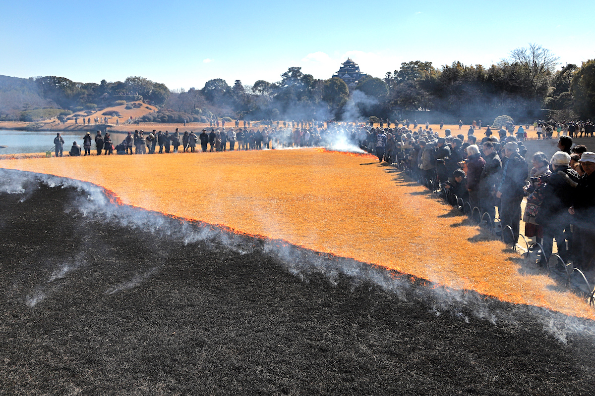 岡山後楽園・芝焼き