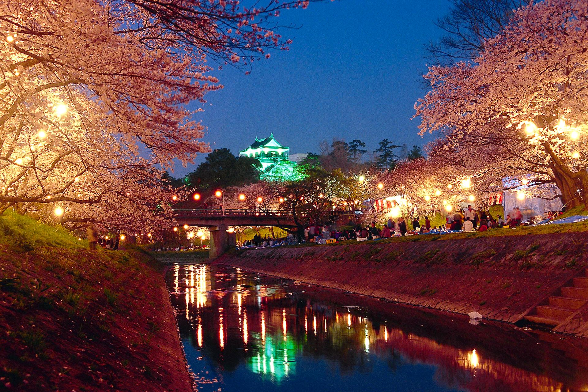 岡崎の桜まつり