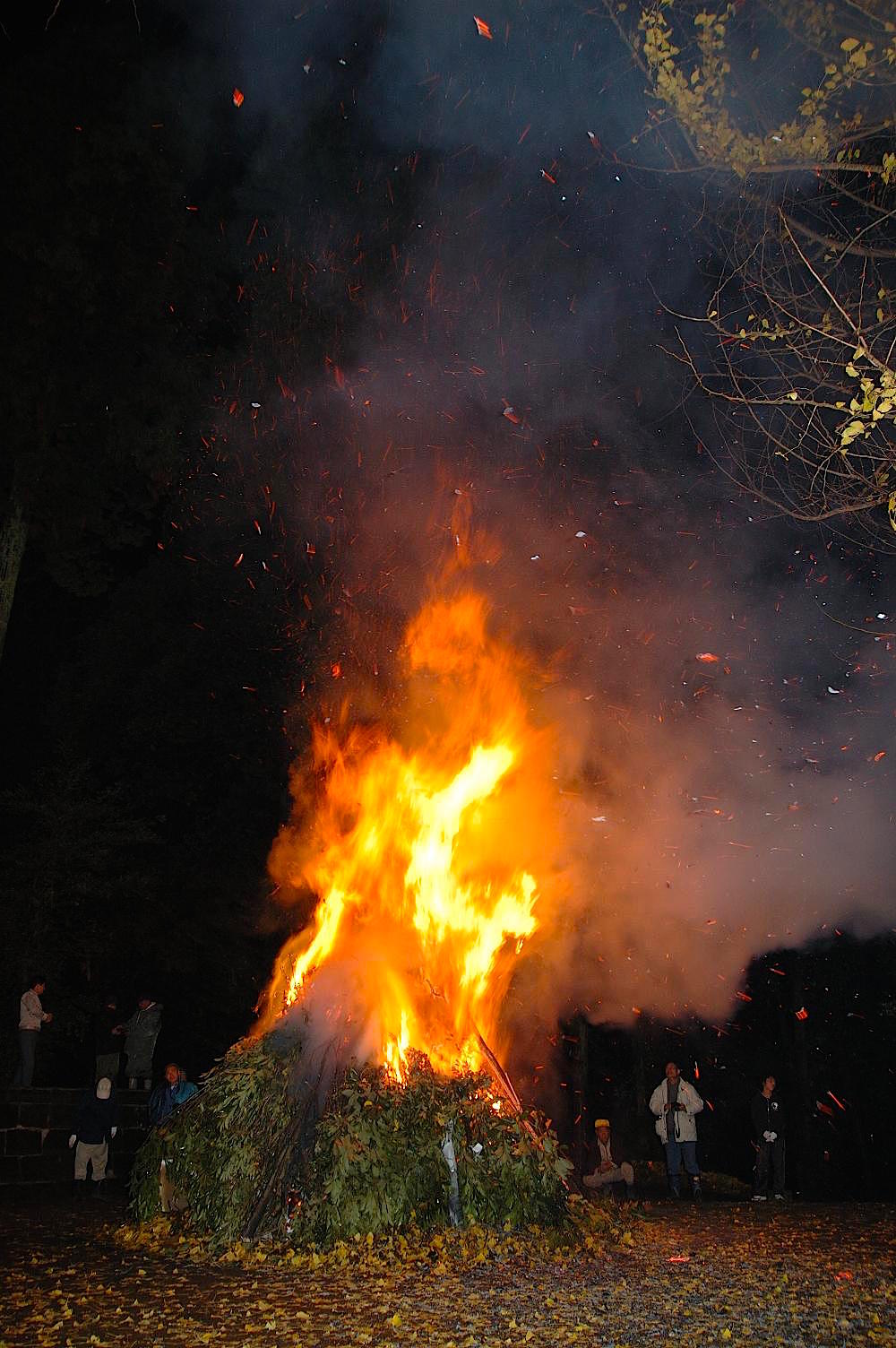 賀茂神社 大火祭