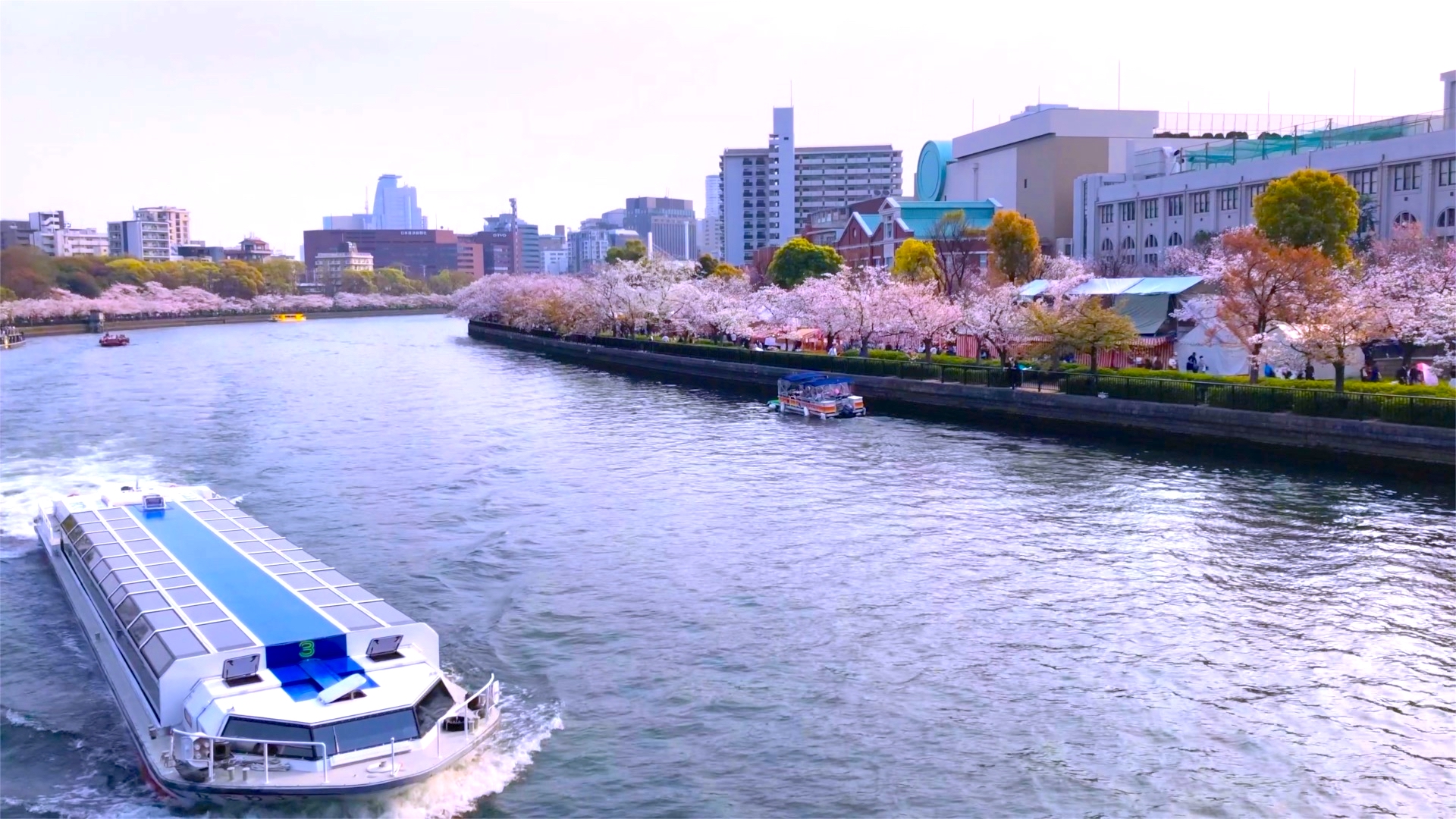 アクアライナー 大阪城お花見クルーズ