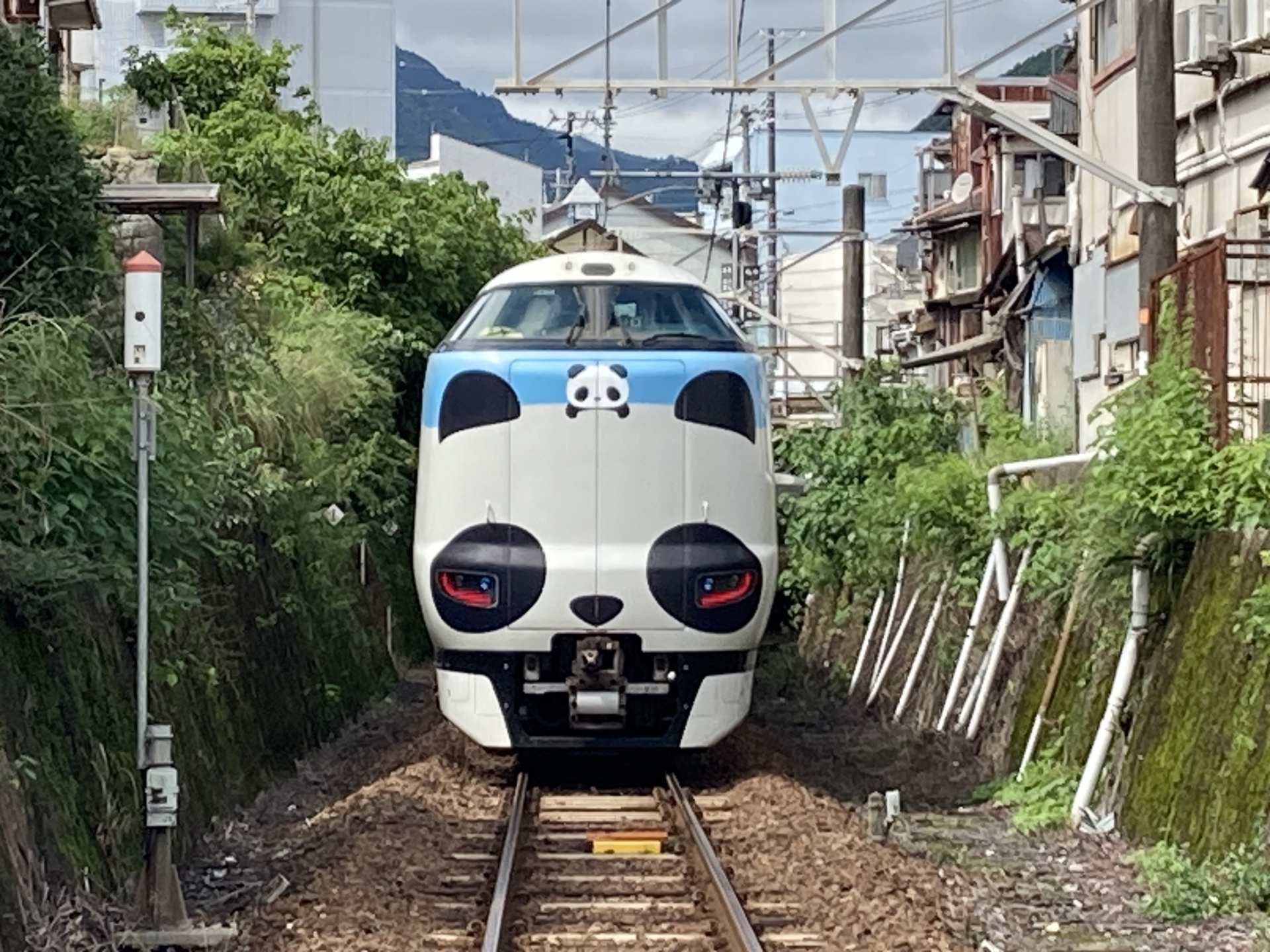 パンダくろしお号