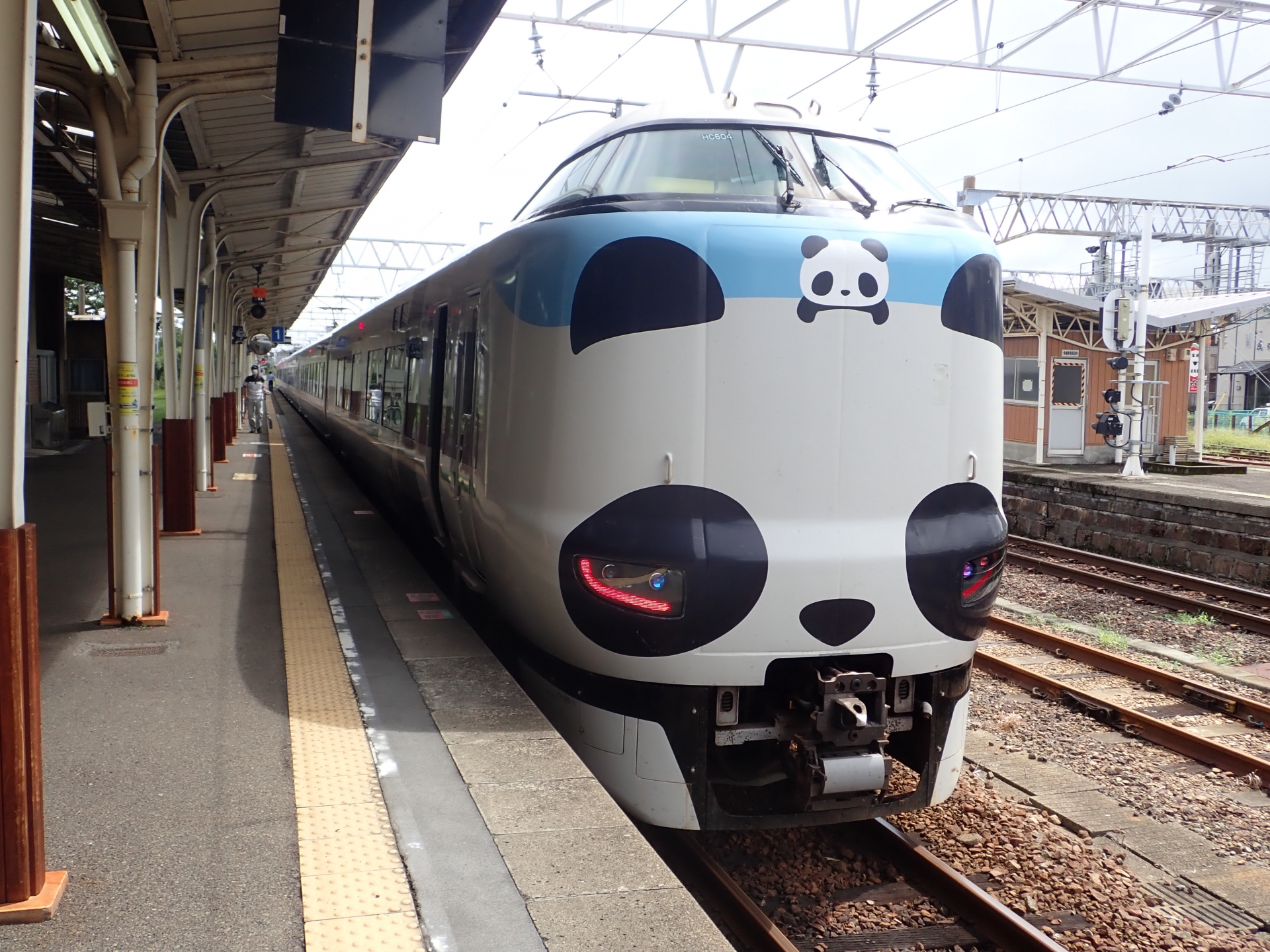 パンダくろしお
