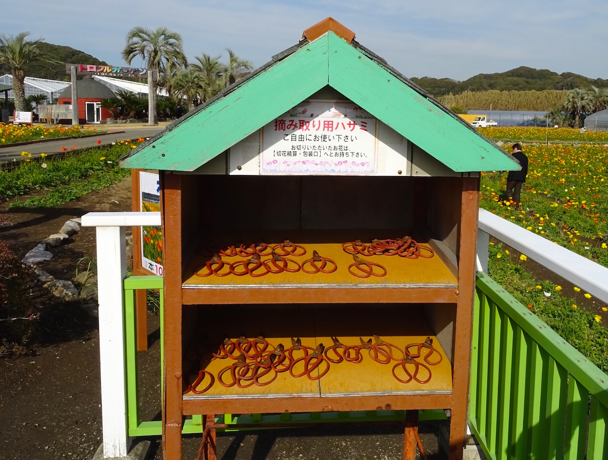 ポピーの里 館山ファミリーパーク