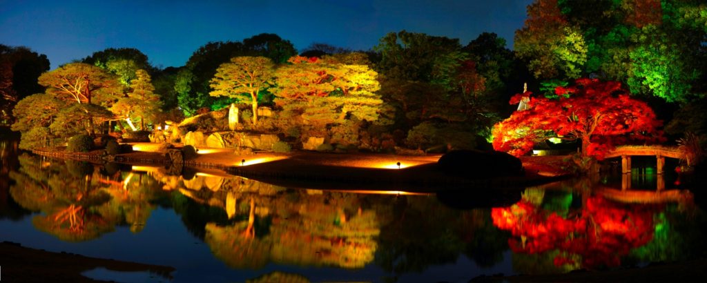 六義園『紅葉と大名庭園のライトアップ』