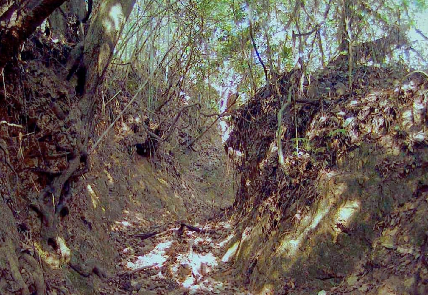 福田城