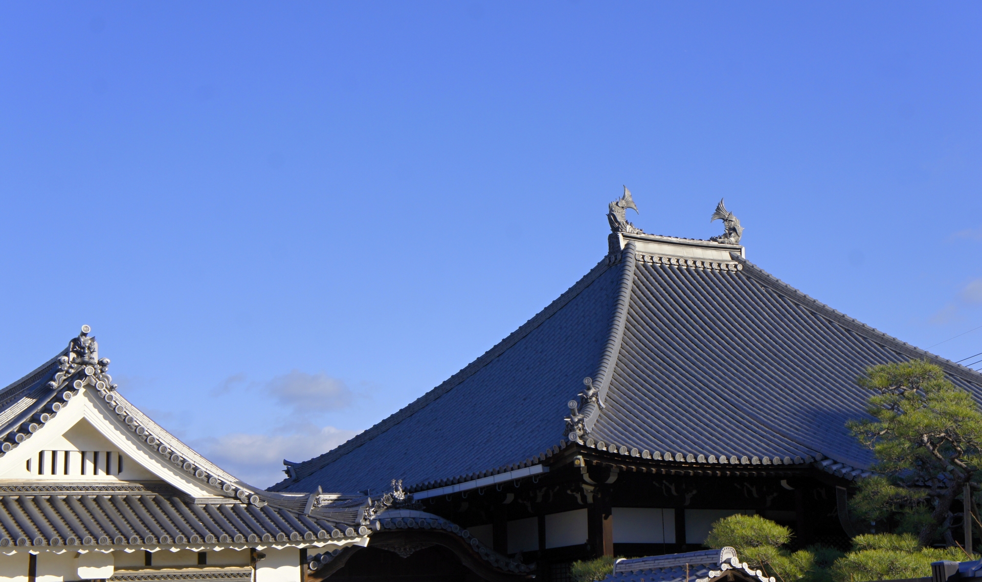 梅林寺