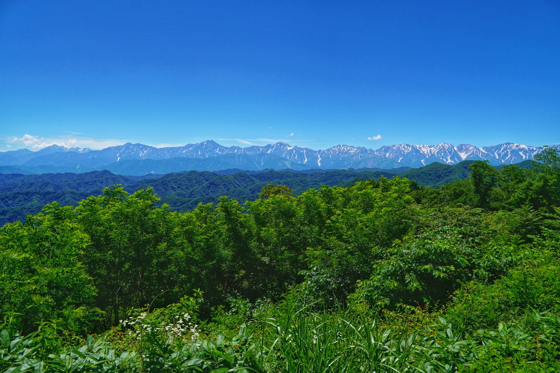 小川村