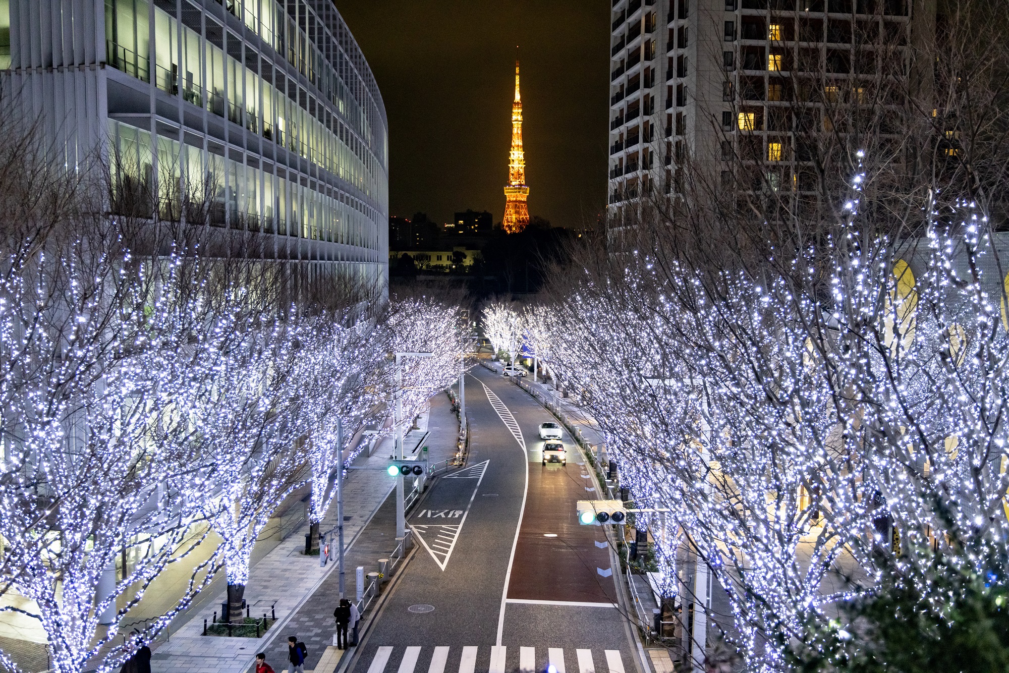 六本木ヒルズクリスマス