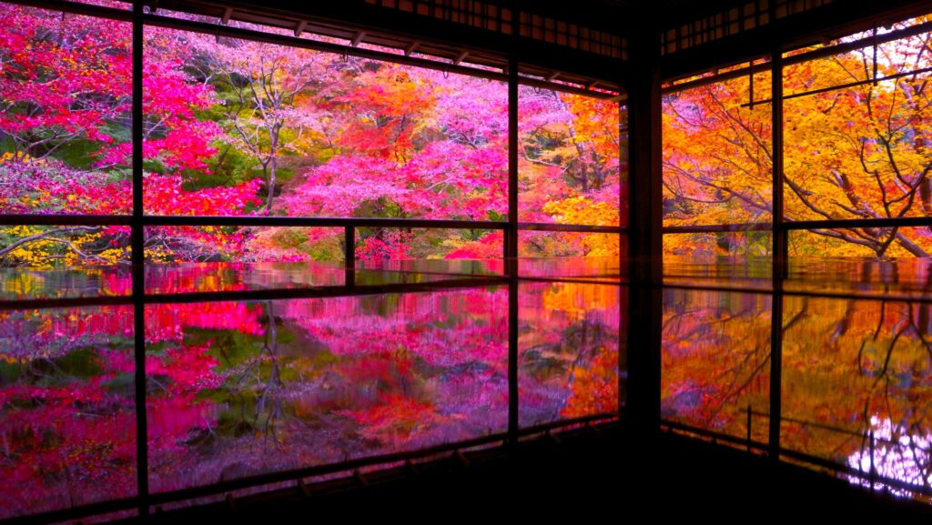 瑠璃光院『秋季特別拝観』