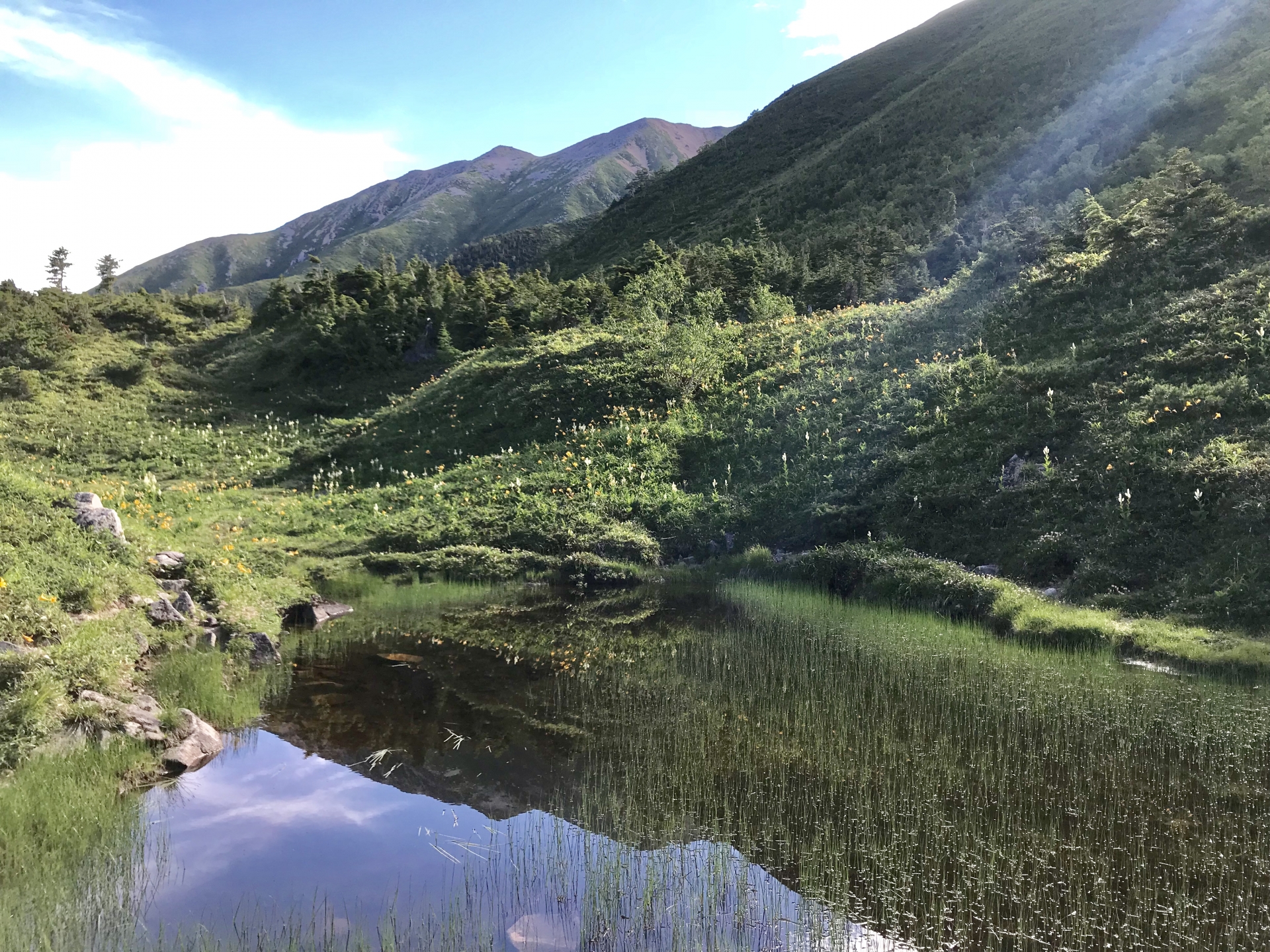 竜晶池