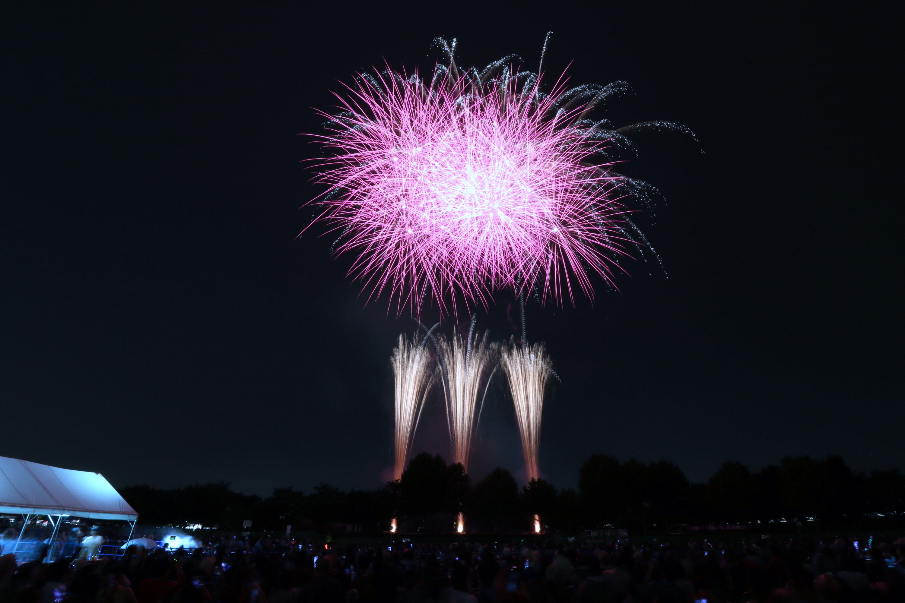 『さいたま市花火大会』（東浦和 大間木公園会場）