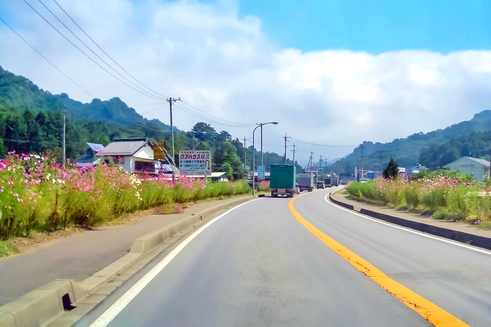 佐久高原コスモス街道
