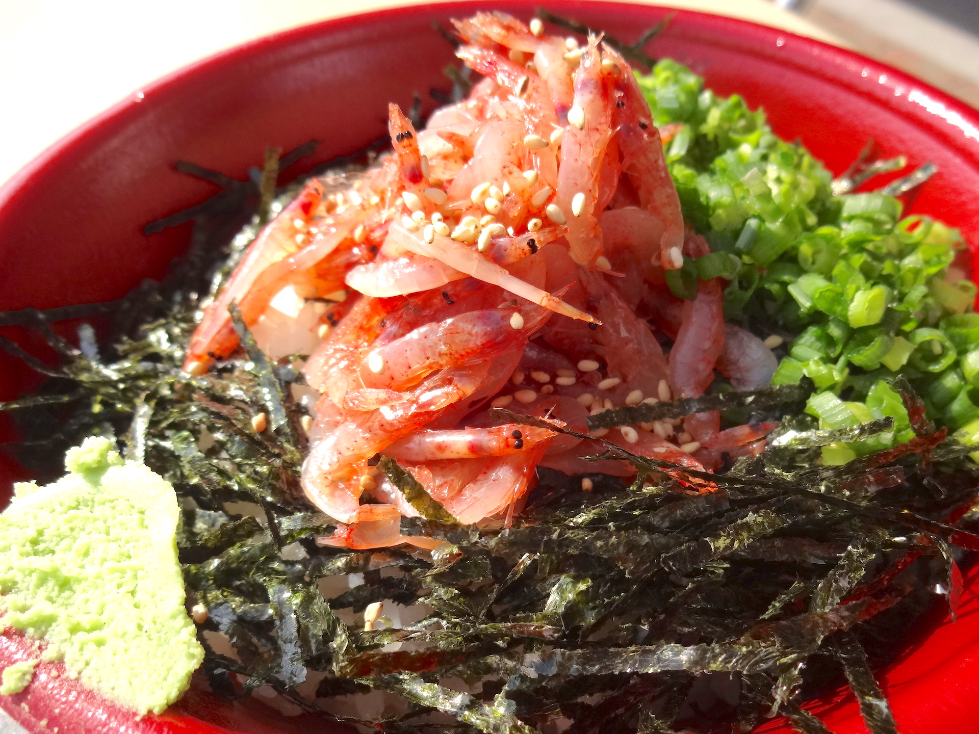 桜えび漁（春漁）解禁