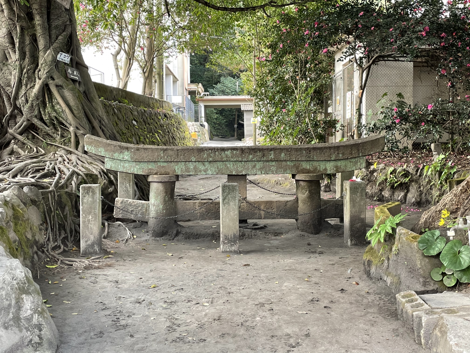 黒神埋没鳥居