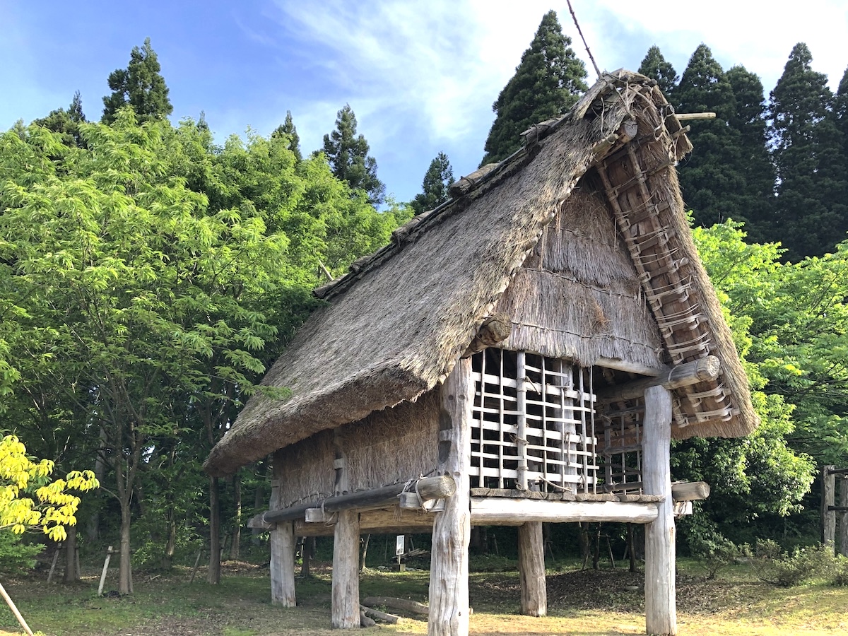桜町遺跡