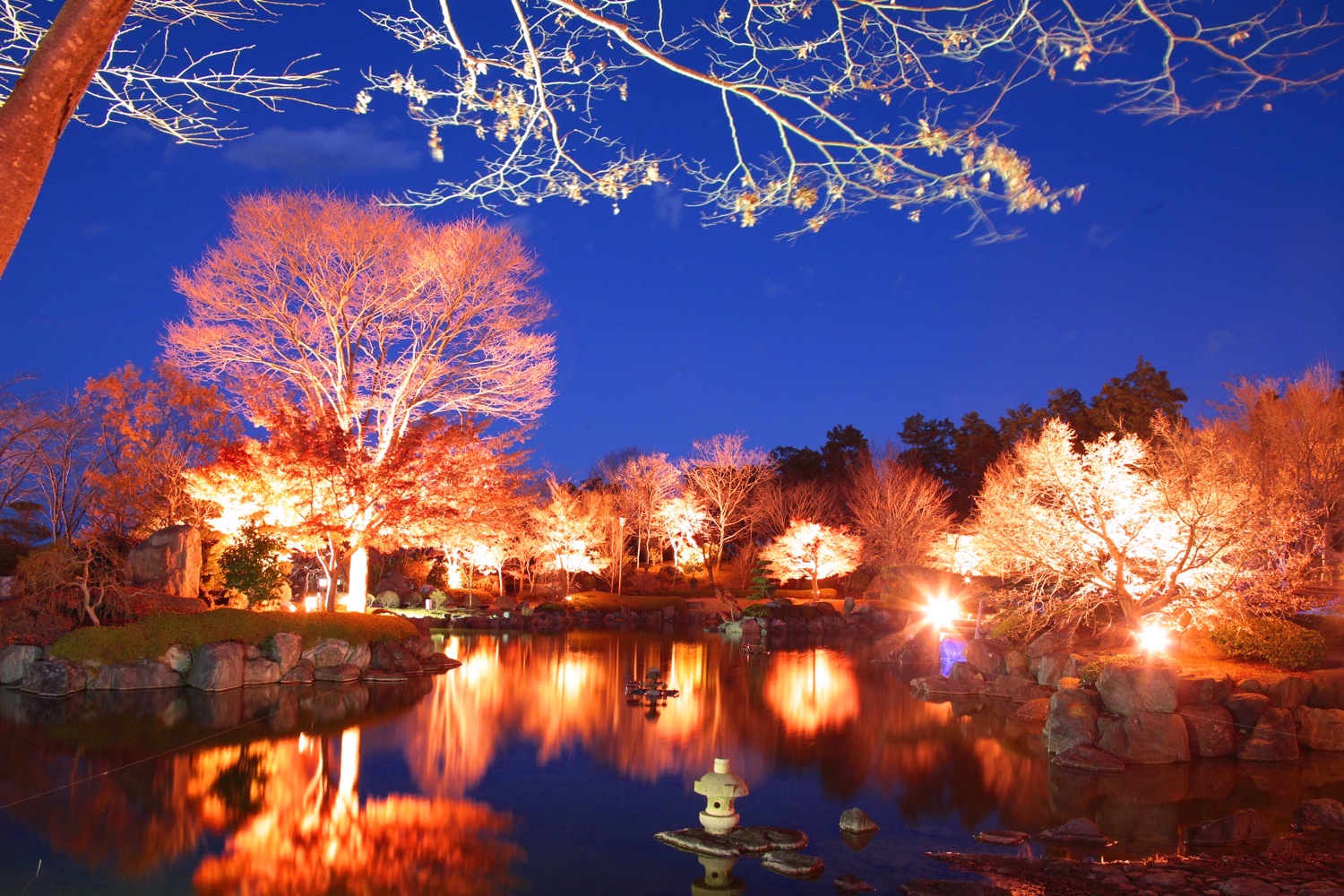 桜山公園ライトアップ