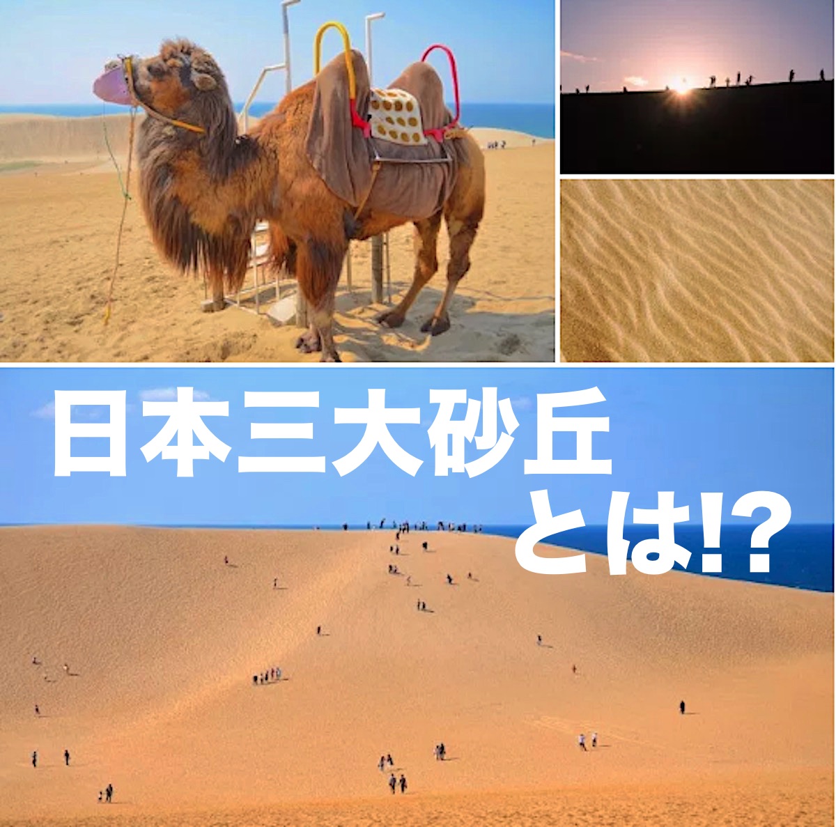 日本三大砂丘