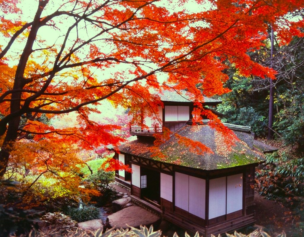 三溪園『紅葉の古建築公開』