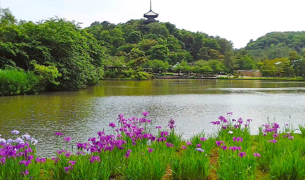 三溪園