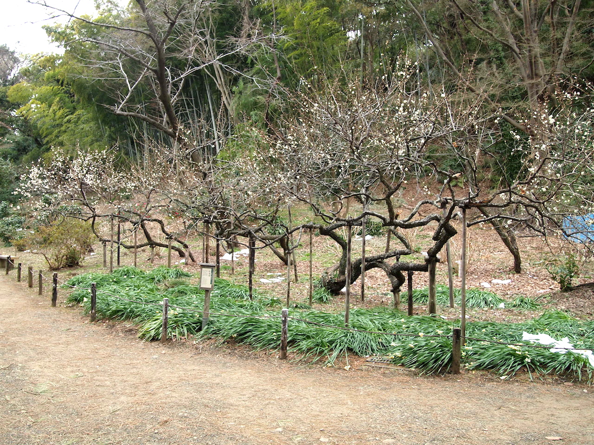 三渓園