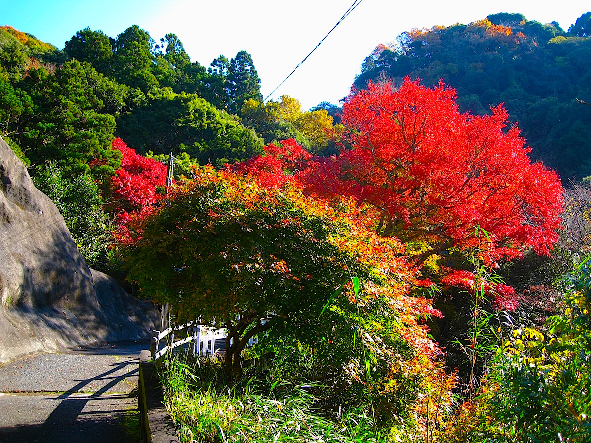 沢山不動・紅葉