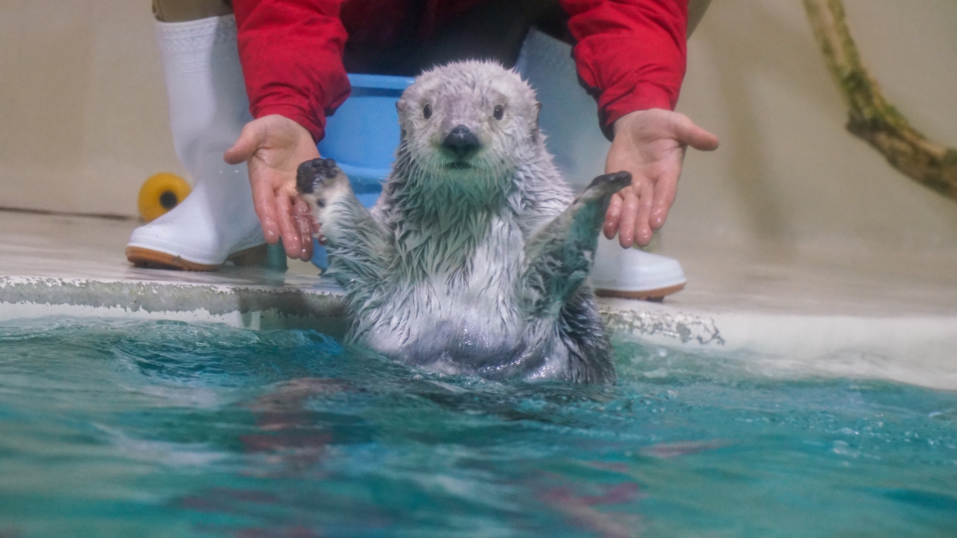 鳥羽水族館