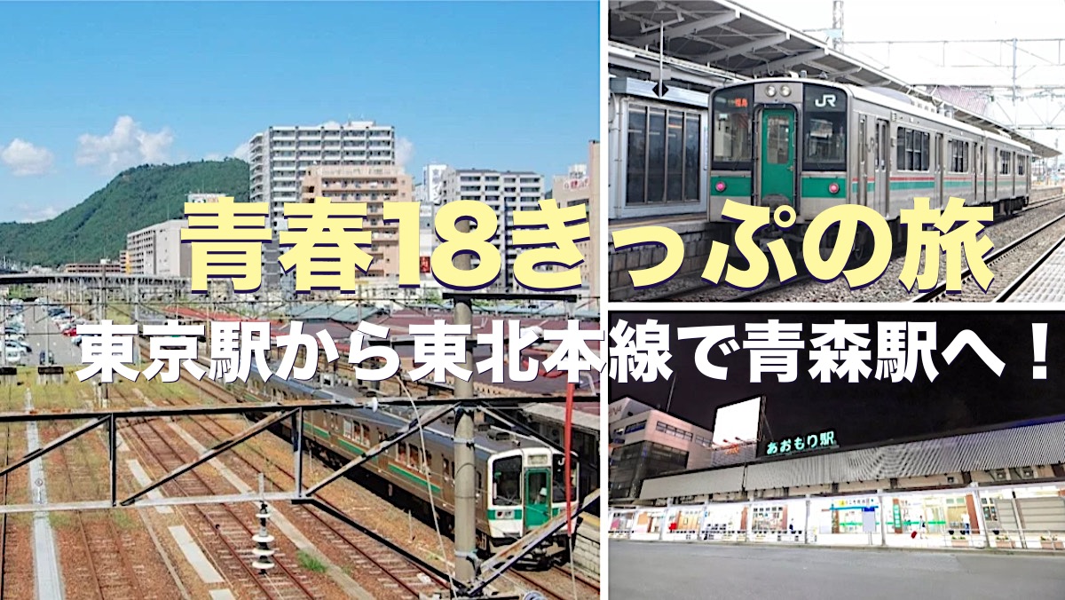 19年 青春18きっぷの旅 2 東京駅から東北本線で青森駅へ