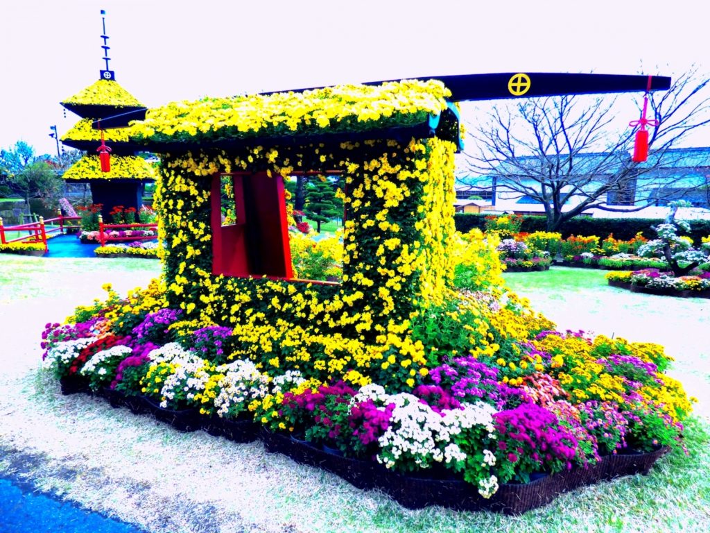 仙巌園『菊まつり』