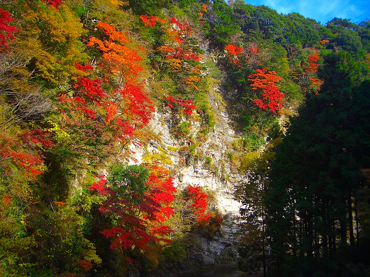 白岩の紅葉