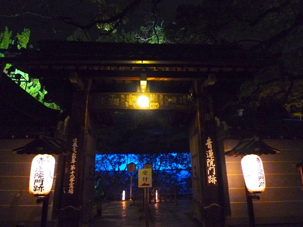 青蓮院門跡『夜間の特別拝観・春』