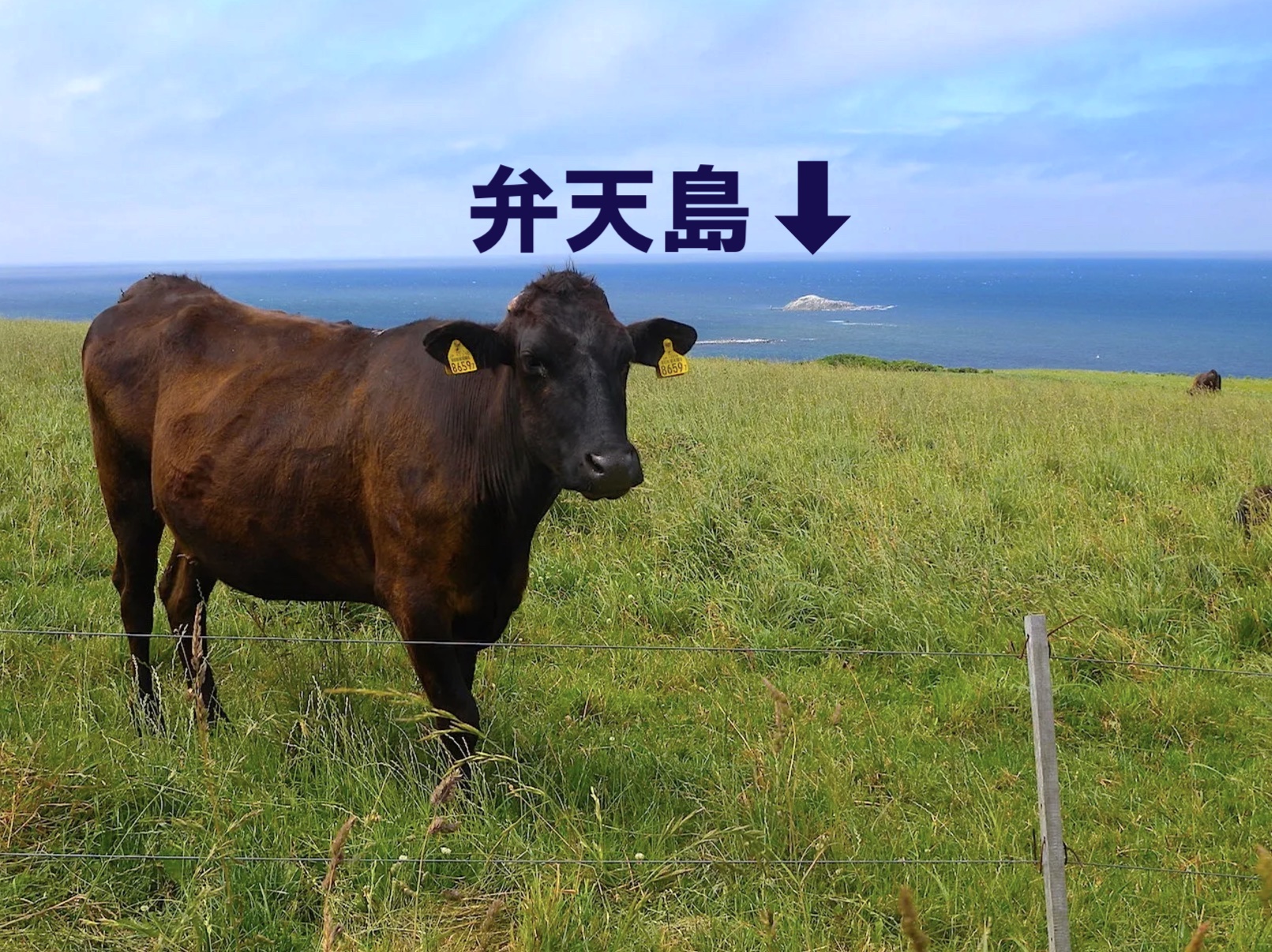 日本最北端・弁天島