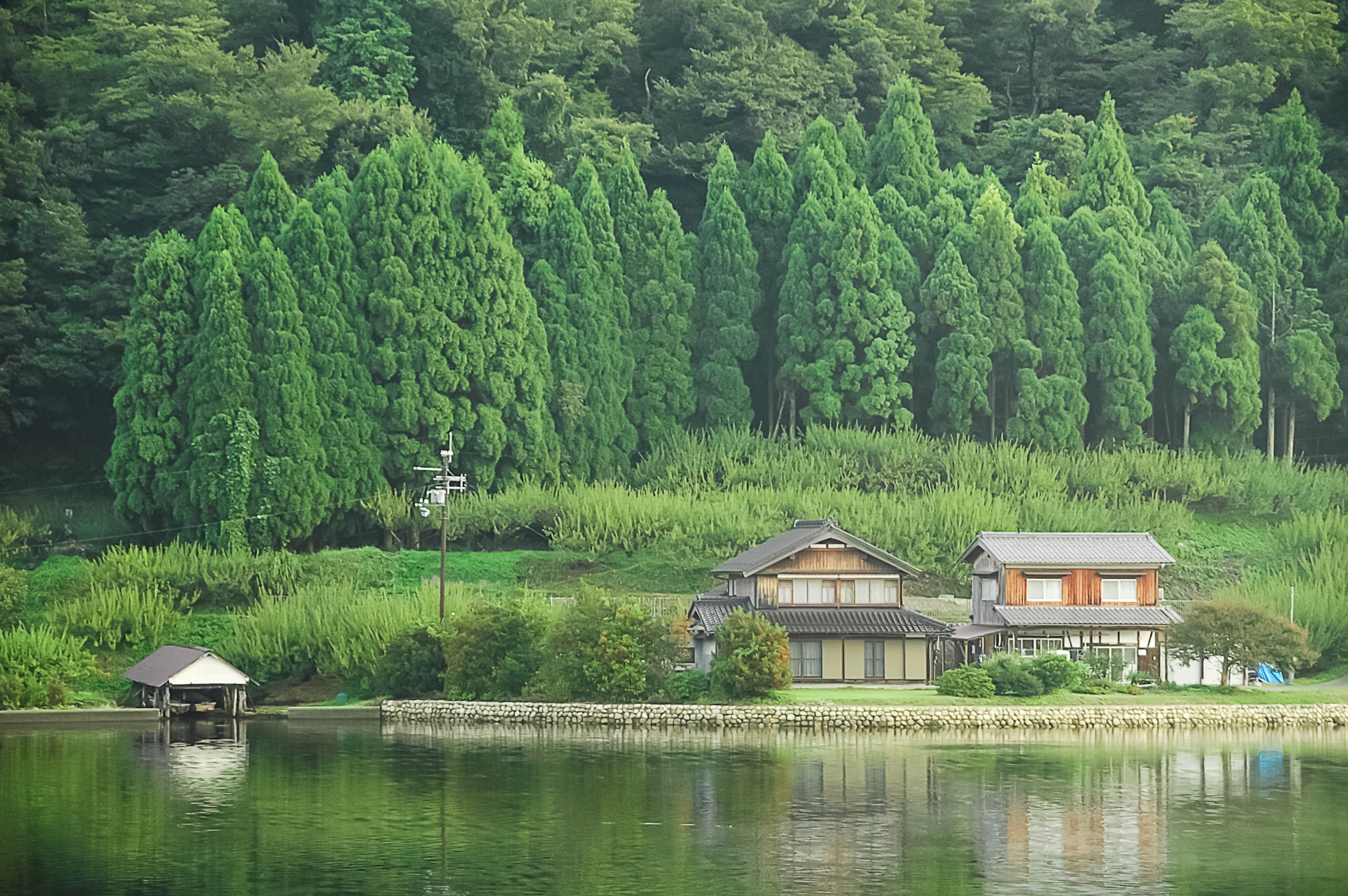 水月湖