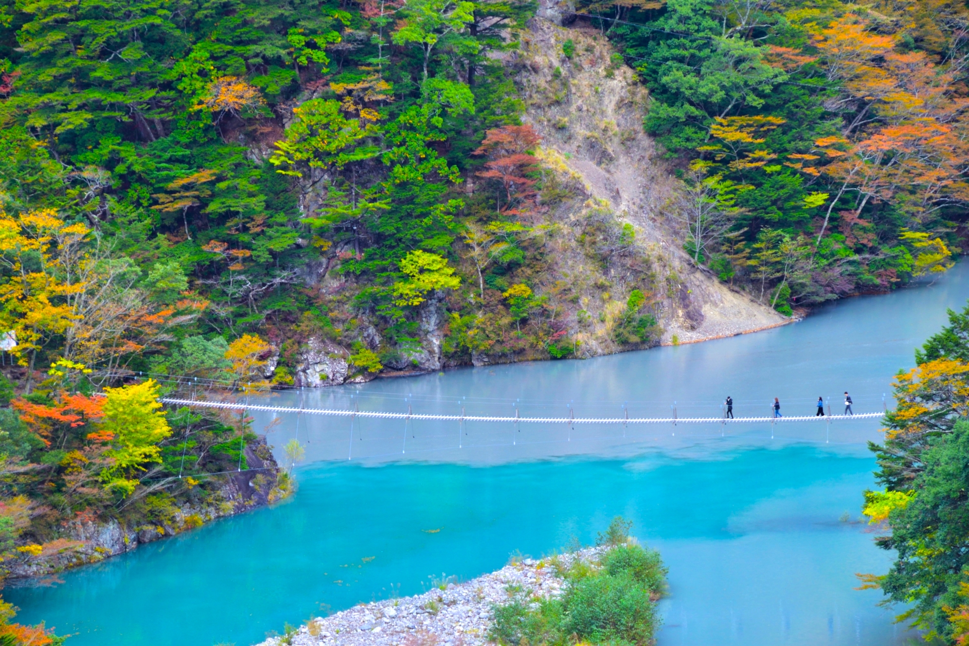 夢の吊り橋