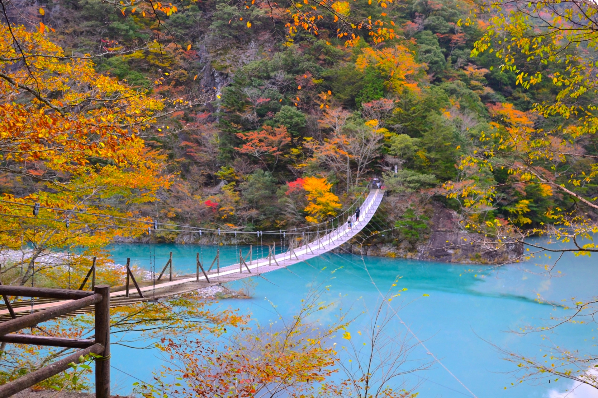 夢の吊り橋