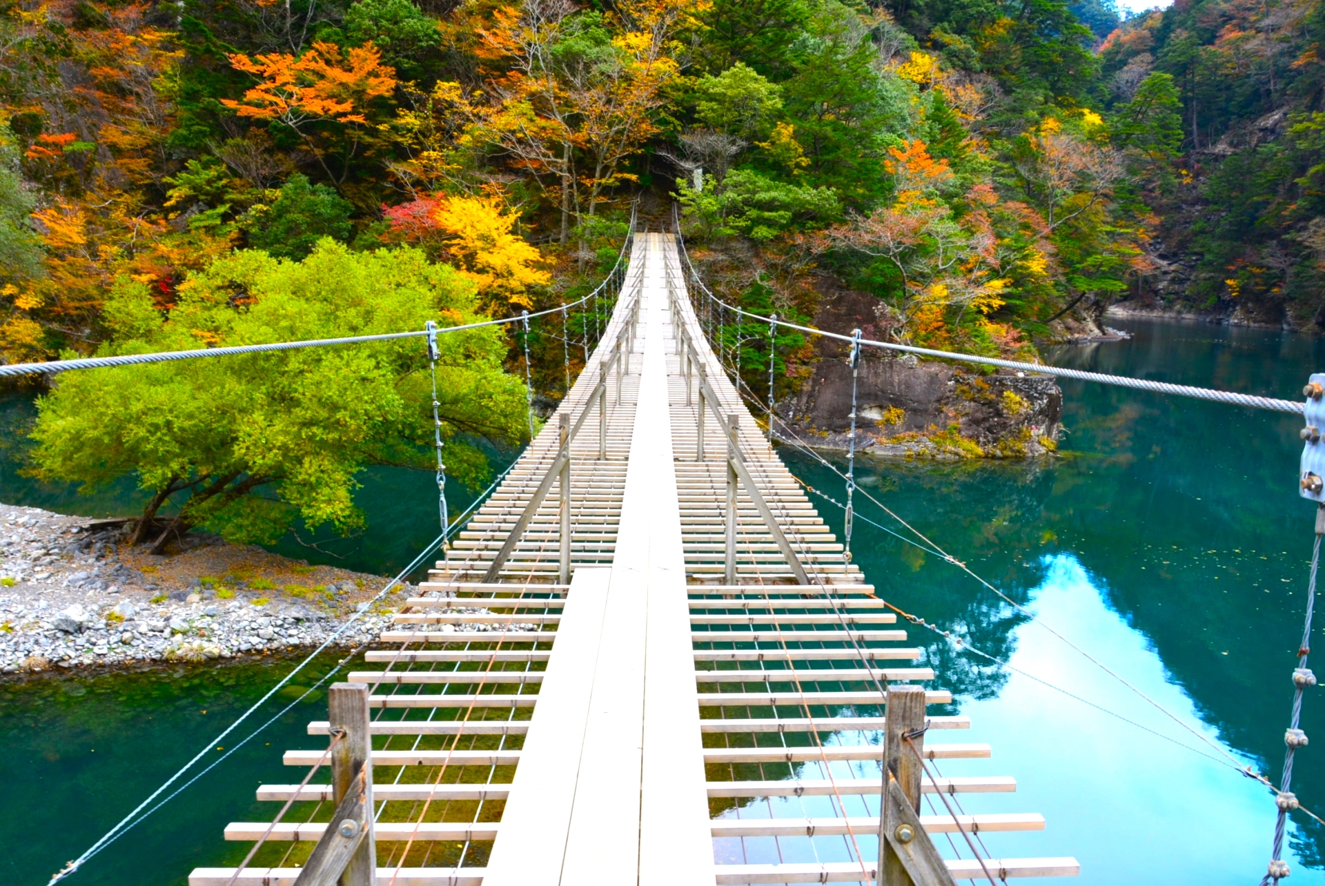 夢の吊り橋