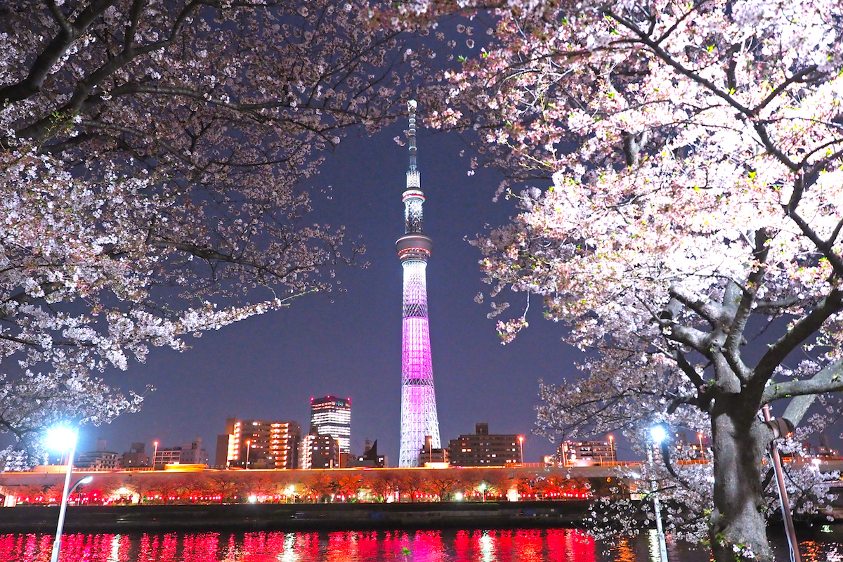 隅田公園桜まつり