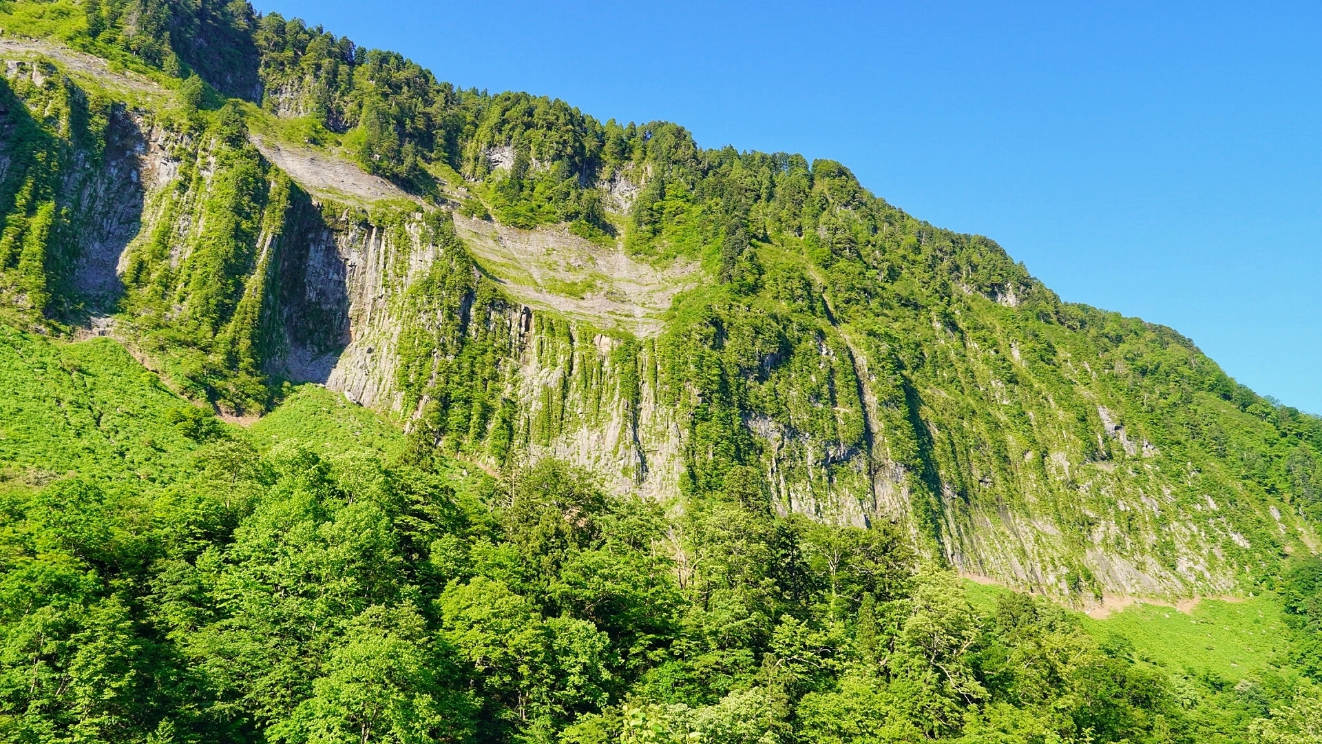 悪城の壁
